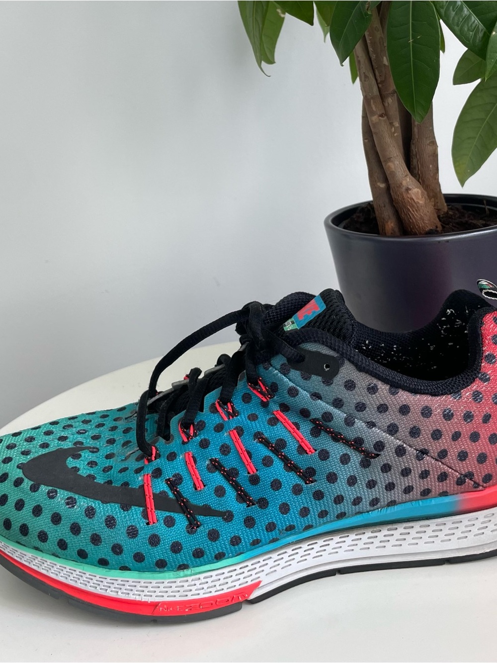 Women Size 11 Nike Air Zoom Elite 8
Lactic Acid Running Shoes